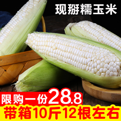 现摘玉米新鲜带箱10斤糯玉米棒子粒粘糯黏苞谷米5蔬菜非水果玉米
