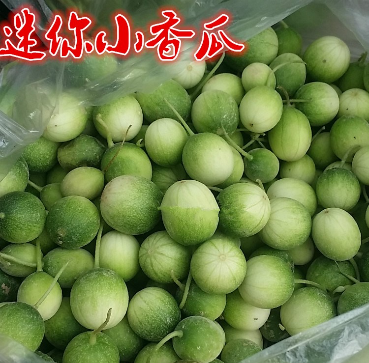 马泡瓜小香瓜迷你甜瓜迷你西瓜奇趣植物种子观赏阳台盆栽种子在类目 3C数码配件, 手机配件, 手机支架/手机座中 - 来自Buy2taobao.com提供专业的淘宝代购服务