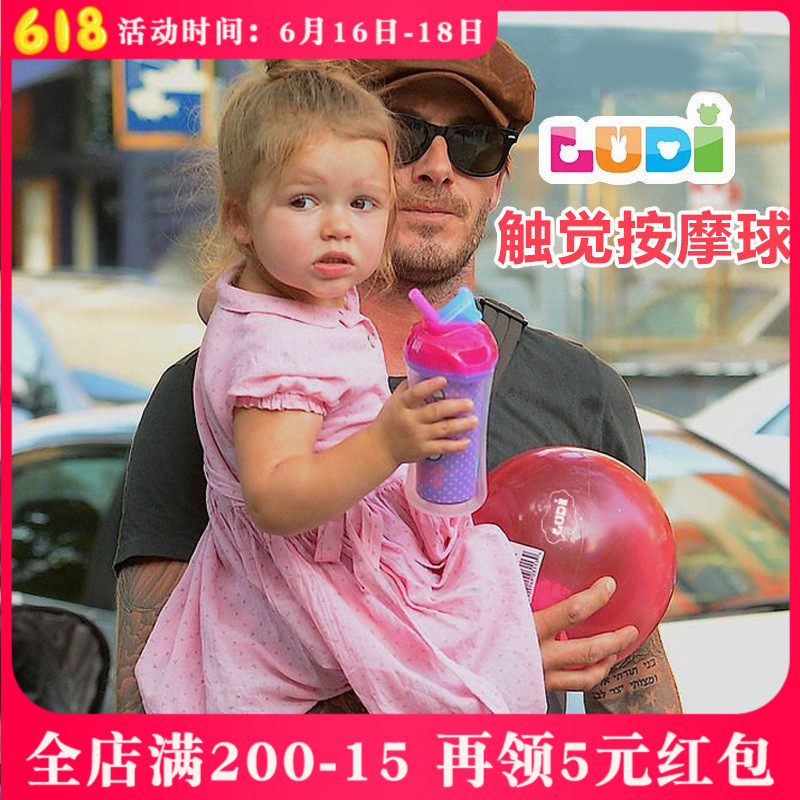 法国ludi按摩球 新生儿手抓球 婴儿玩具感知球 3-6-12个月玩具在类目 玩具/童车/益智/积木/模型, 串珠/拼图/配对/拆装/敲打玩具, 婴儿手抓球中 - 来自Buy2taobao.com提供专业的淘宝代购服务