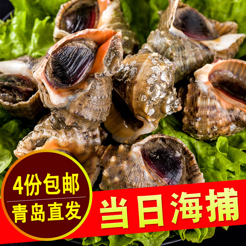 青岛马姐水产野生大海螺鲜活海鲜特产新鲜当天现挖500g贝类在类目 水产肉类/新鲜蔬果/熟食, 海鲜/水产品/制品, 贝类, 贝类制品中 - 来自Buy2taobao.com提供专业的淘宝代购服务