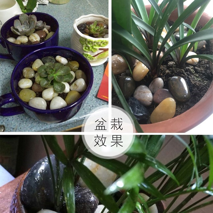 鱼缸装饰鹅卵石天然石七彩色黑蓝色石头大石毯五彩雨花石鹅r卵石|ruв категории доставка цветов/цветок моделирования/растения садоводства, садовых принадлежностей, других садовых принадлежностей - от Buy2taobao.com для оказания профессиональной услуги покупки агента Taobao