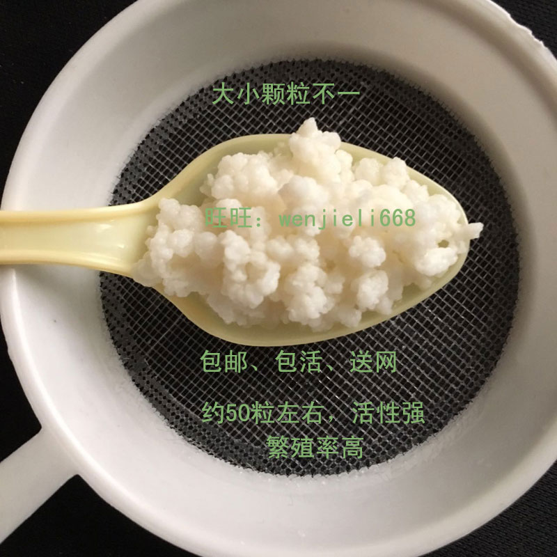 雪莲菌/藏灵菇/菌种/颗粒菌/50粒活性菌/开菲尔菌种包邮在类目 厨房/烹饪用具, 烹饪用具, 其它中 - 来自Buy2taobao.com提供专业的淘宝代购服务