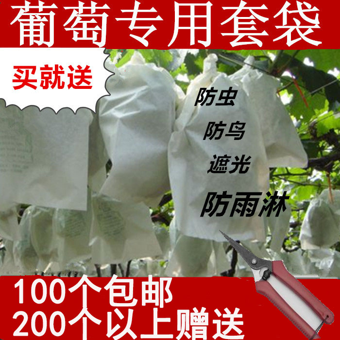 Paper Bags outdoors Shelf honey peach protect Hand bag Packaging film suit Storage bags Grape bagsin the Flower delivery/Flowers simulation/Plants gardening , Gardening supplies , Other Garden Supplies category - from Buy2taobao.com to provide professional Taobao agent buy service