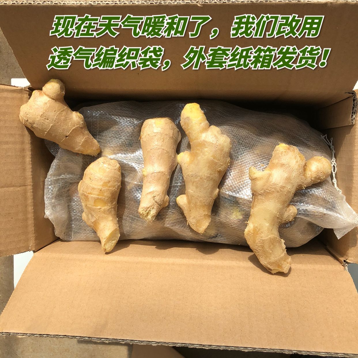 ginger Ginger fresh Shandong Ginger 5 Ginger Farm fresh Ginger bulk ginger Bao.in the Aquatic meat/Fresh fruits and vegetables/Cooked , Fresh vegetables/Vegetable products , Ginger category - from Buy2taobao.com to provide professional Taobao agent buy service