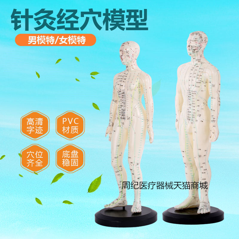 中医针灸穴位图人体模型50cm男女模型清晰经络小人体针灸穴位模型|msdalam kategori ubat-ubatan OTC/Peralatan perubatan/Bekalan Perancangan Keluarga, Peralatan perubatan, peralatan perubatan - dari Buy2taobao.com untuk memberikan perkhidmatan ejen Taobao profesional membeli