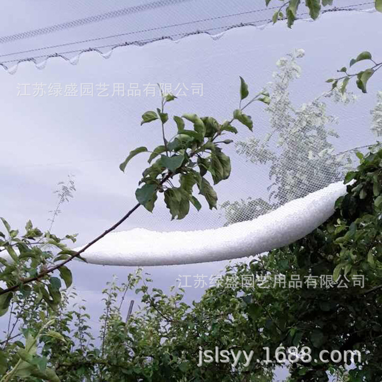 厂家直销果树冰雹网0.86公分葡萄园菱形加强防雹网防鸟果树防护网|msdalam kategori Jentera pertanian/alat-alat ladang/kepingan plastik, kepingan plastik/tarpaulin/penutup rangkaian/rumah hijau, Pertanian naungan bersih - dari Buy2taobao.com untuk memberikan perkhidmatan ejen Taobao profesional membeli