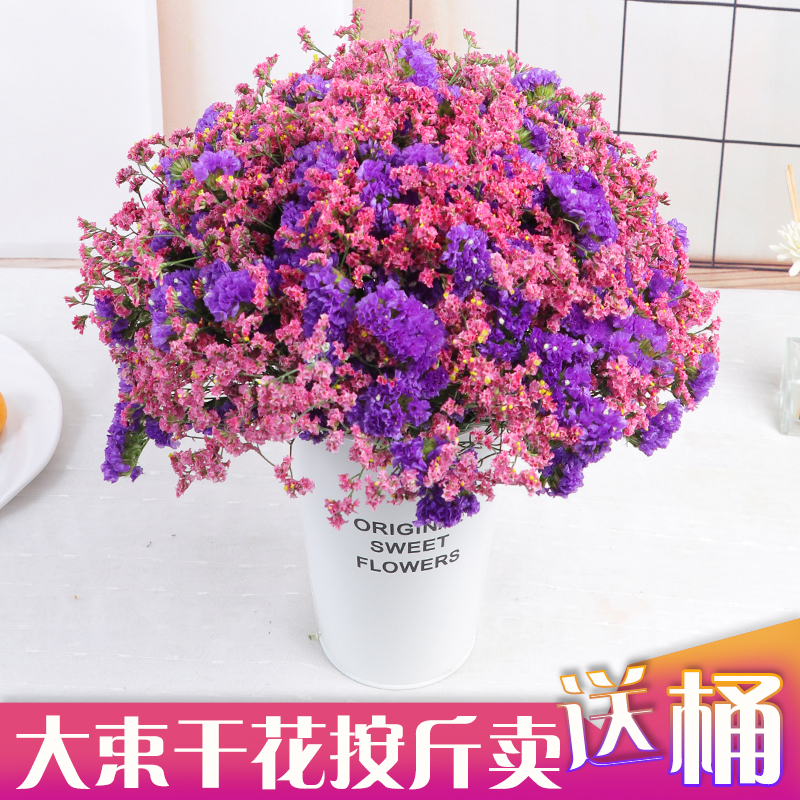 云南天然干花真花按斤卖大束勿忘我干花花束家居装饰客厅摆件带桶|ruв категории Домашний быт, ваза/цветок/искусственные цветы/моделирование украшения, сушеные цветы/лепесток/сушеные цветы пакет/сухие ветки - от Buy2taobao.com для оказания профессиональной услуги покупки агента Taobao