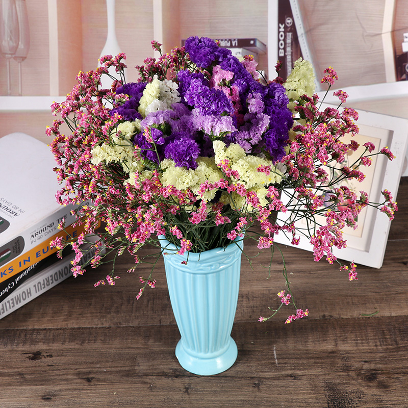 Home Furnishing decorate flower arrangement Mix and match Forget me not Dried flowers Bouquet of flowers a living room bedroom Decoration Gifts New home decor a decorationin the Home accessories , Vase/Flower/Artificial flowers/Imitation jewelry , Dried flowers/Petal/Dried package/Dry twigs category - from Buy2taobao.com to provide professional Taobao agent buy service