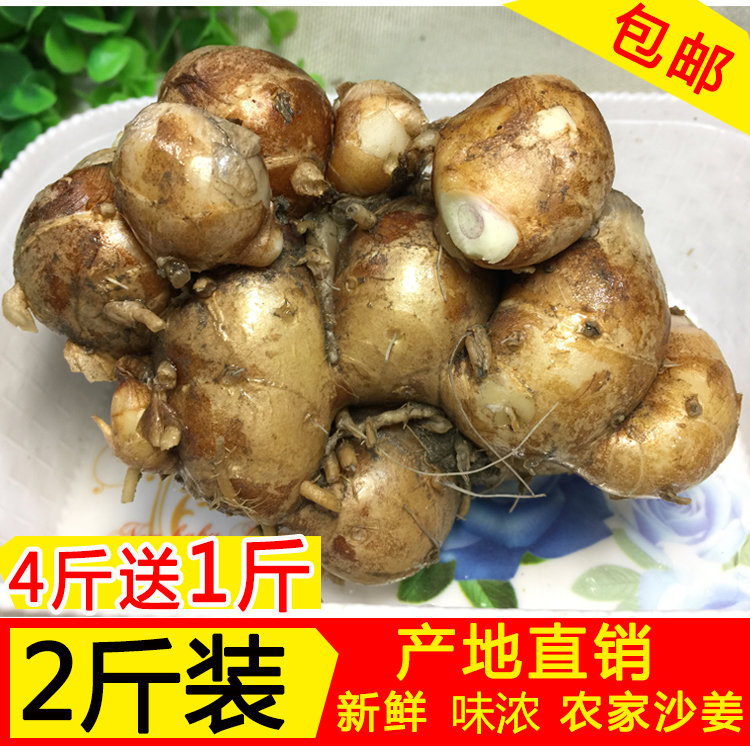 包邮广东高州新鲜沙姜三柰三奈三赖山奈佐料配料调味品香料2斤装|ruв категории водной мясо/свежие фрукты и овощи/еда, свежие овощи/овощной продукции, свежие овощи, другие - от Buy2taobao.com для оказания профессиональной услуги покупки агента Taobao