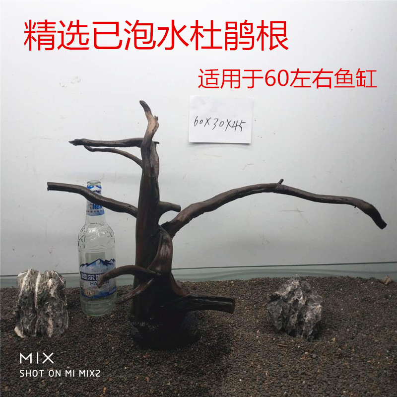 包邮看图选 杜鹃根 沉木 莫斯树流木爬宠箱 草缸造景鱼缸水族装饰|msdalam kategori haiwan peliharaan/makanan haiwan dan bekalan, Aquarium World, tangki ikan akuarium dan kelengkapan lain, landskap/hiasan - dari Buy2taobao.com untuk memberikan perkhidmatan ejen Taobao profesional membeli