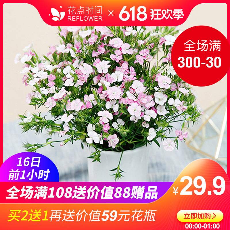 Spend time Yunnan Base Preferred Lovesickness Plum Pink Small flower arrangement Office Home a decoration flowerin the Flower delivery/Flowers simulation/Plants gardening , Flower delivery(City)  category - from Buy2taobao.com to provide professional Taobao agent buy service
