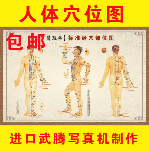 acupuncture moxibustion human body Main and collateral channels Points chart Poster Foot whole body chinese medicine Body Health care massage posterin the Personalized custom/Design Services/DIY , Daily/Decorative custom , Photo/Poster printing category - from Buy2taobao.com to provide professional Taobao agent buy service