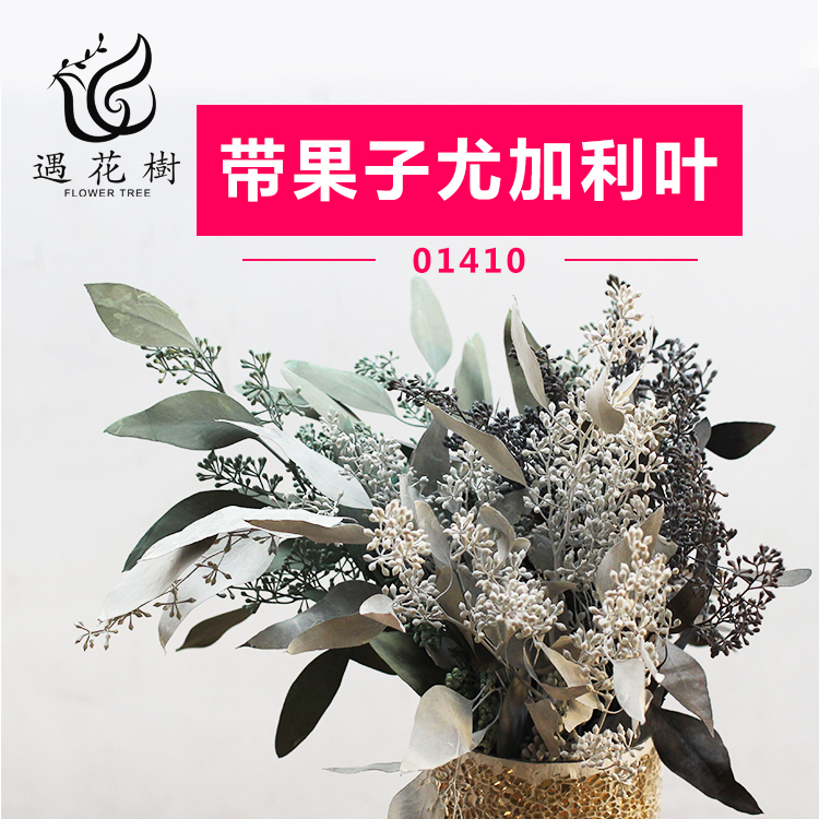 ins永生花摆件尤加利叶仿真diy手工材料包干叶子干花花束家居摆设在类目 鲜花速递/花卉仿真/绿植园艺, 婚礼鲜花布置, 其它中 - 来自Buy2taobao.com提供专业的淘宝代购服务