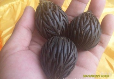 Thousands of silk Pu Tizi raw material seed Pendants Pendant jewelry Hand string Handle piece Base supplyin the Arts and crafts , Other features crafts category - from Buy2taobao.com to provide professional Taobao agent buy service