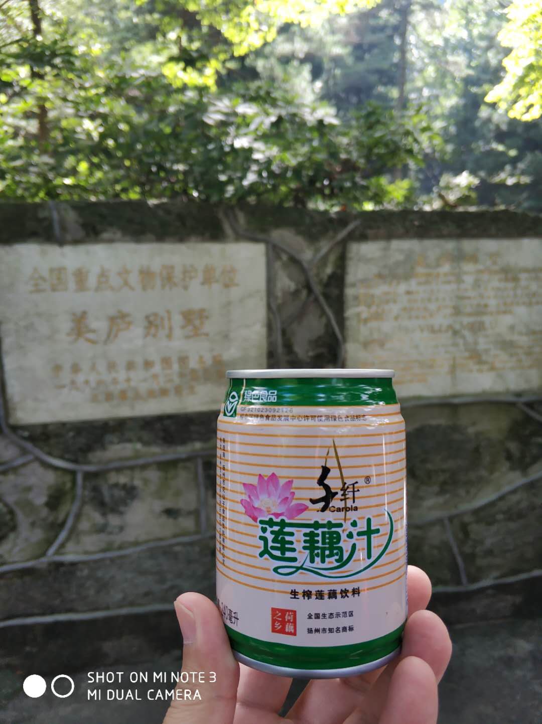 包邮扬州宝应千纤莲藕汁生榨饮料绿色食品火锅龙虾伴侣 240ML*6罐在类目 咖啡/麦片/冲饮, 饮料, 果蔬汁, 纯果蔬汁中 - 来自Buy2taobao.com提供专业的淘宝代购服务