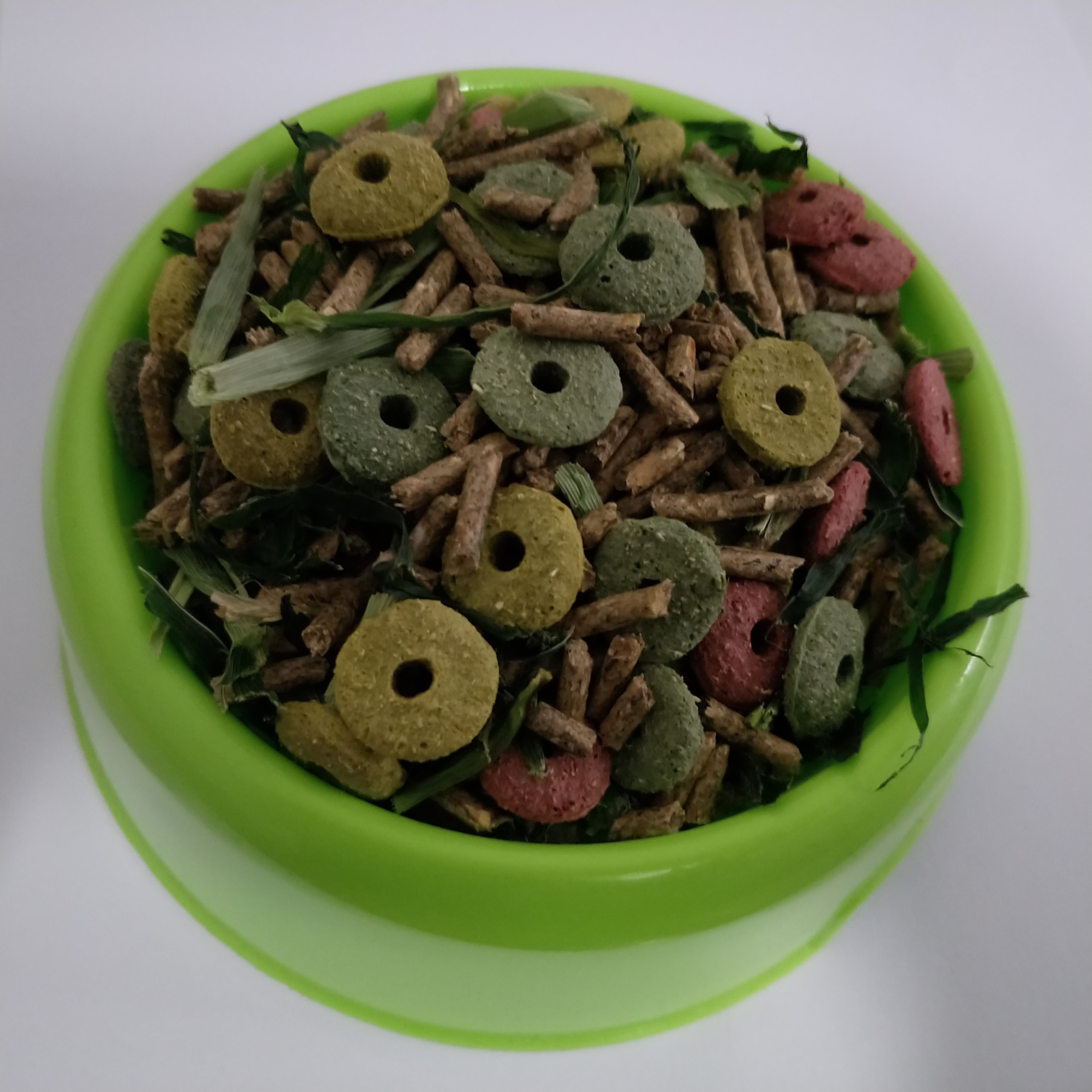 兔粮宠物兔粮龙猫鼠粮颗粒饲料抗球虫除臭散装250g装包邮幼兔粮食在类目 宠物/宠物食品及用品, 兔类及其用品, 兔兔主粮中 - 来自Buy2taobao.com提供专业的淘宝代购服务