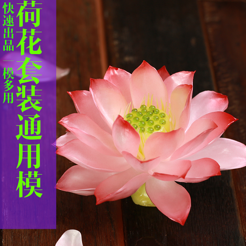 廚樂購周毅蓮荷花兩組大小通用仿真花紋路食品矽膠壓模翻糖藝蛋糕在類目 廚房/烹飪用具, 燒烤/烘焙用具, 烘培DIY器具, 其它烘焙器具中 - 來自Buy2taobao.com提供專業的淘寶代購服務