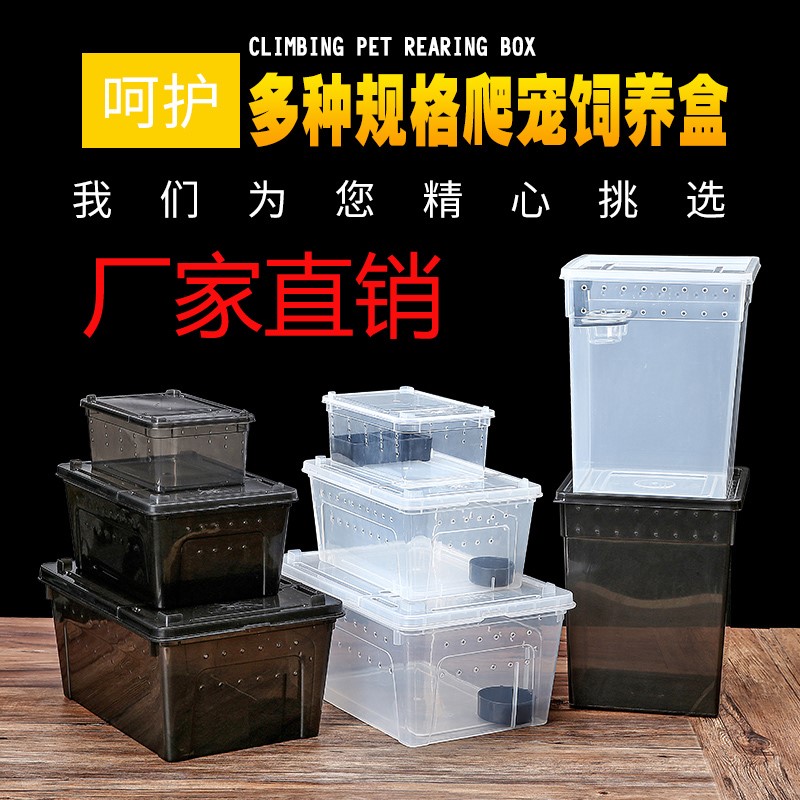 Plastic transparent Reptile Feeding Box Terrariums Spider Horned Frogs Gecko Pet snake Scorpion insectin the 3C Digital Accessories, Cell Phone Accessories , Phone holder/Mobile phone holder category - from Buy2taobao.com to provide professional Taobao agent buy service
