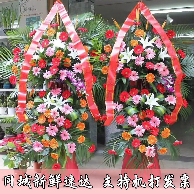 長春鮮花速遞混搭繡球同城開業花籃喬遷慶典演唱會吉林松原送花店在類目 鮮花速遞/花卉仿真/綠植園藝, 鮮花速遞(同城)中 - 來自Buy2taobao.com提供專業的淘寶代購服務