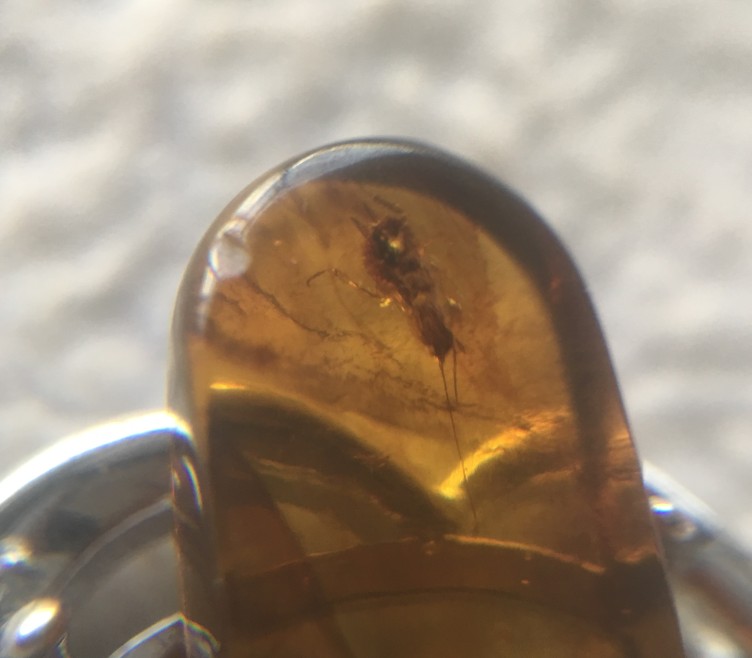 假一赔十 抚顺琥珀 纯天然琥珀 金珀 虫珀 项链坠 戒指面在类目 珠宝/钻石/翡翠/黄金, 天然琥珀(新), 颈饰中 - 来自Buy2taobao.com提供专业的淘宝代购服务