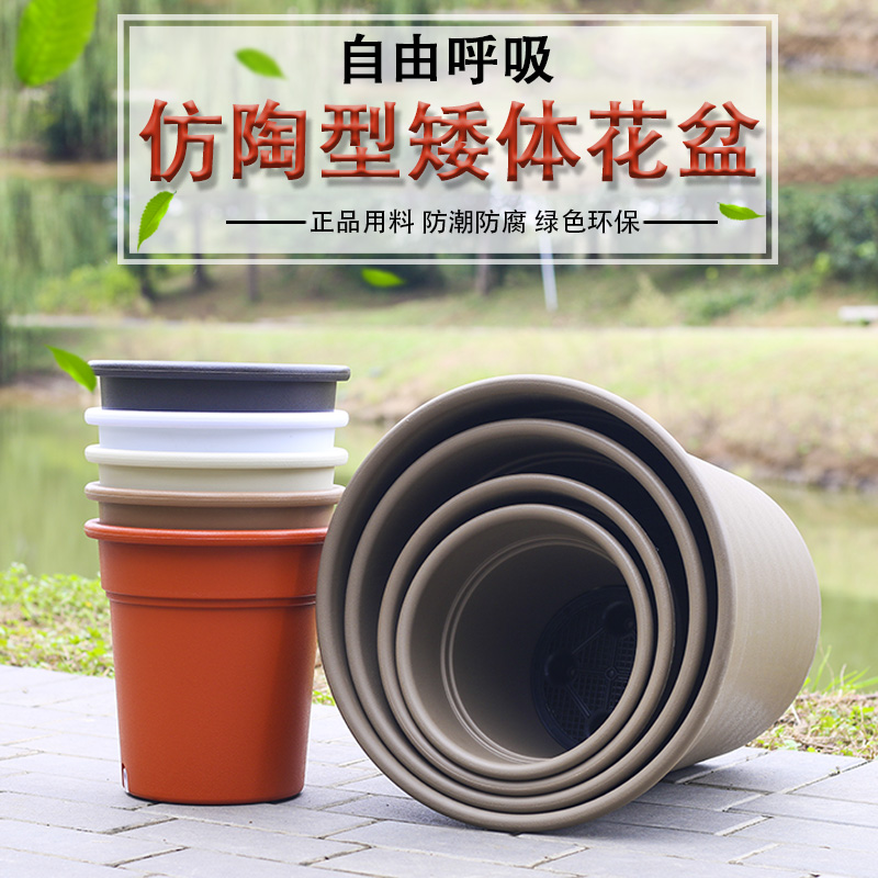 indoor decorate Green plant Flower pot thickening Flanging Plastic Flower pot Chinese rose Potted plant Imitation Tao indoor Simplicityin the Home accessories , Vase/Flower/Artificial flowers/Imitation jewelry , Flower/Vase , Flowerpot category - from Buy2taobao.com to provide professional Taobao agent buy service