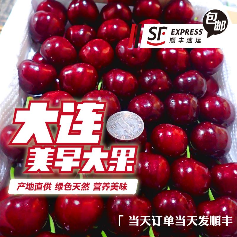 5斤现摘现发大连大樱桃美早大樱桃车厘子新鲜孕妇水果甜山东烟台|ruв категории водной мясо/свежие фрукты и овощи/еда, свежие фрукты, вишня/вишня - от Buy2taobao.com для оказания профессиональной услуги покупки агента Taobao