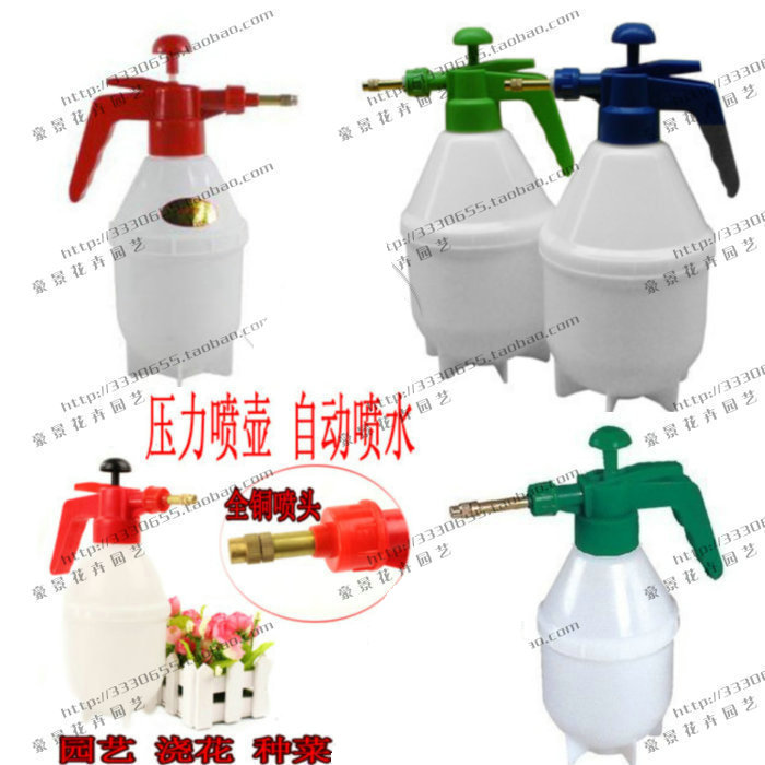 可调节压力喷壶纯铜喷头小型喷雾器家庭养花工具小喷雾瓶园艺喷壶|ruв категории доставка цветов/цветок моделирования/растения садоводства, садовых принадлежностей, мини - спрей чайник - от Buy2taobao.com для оказания профессиональной услуги покупки агента Taobao