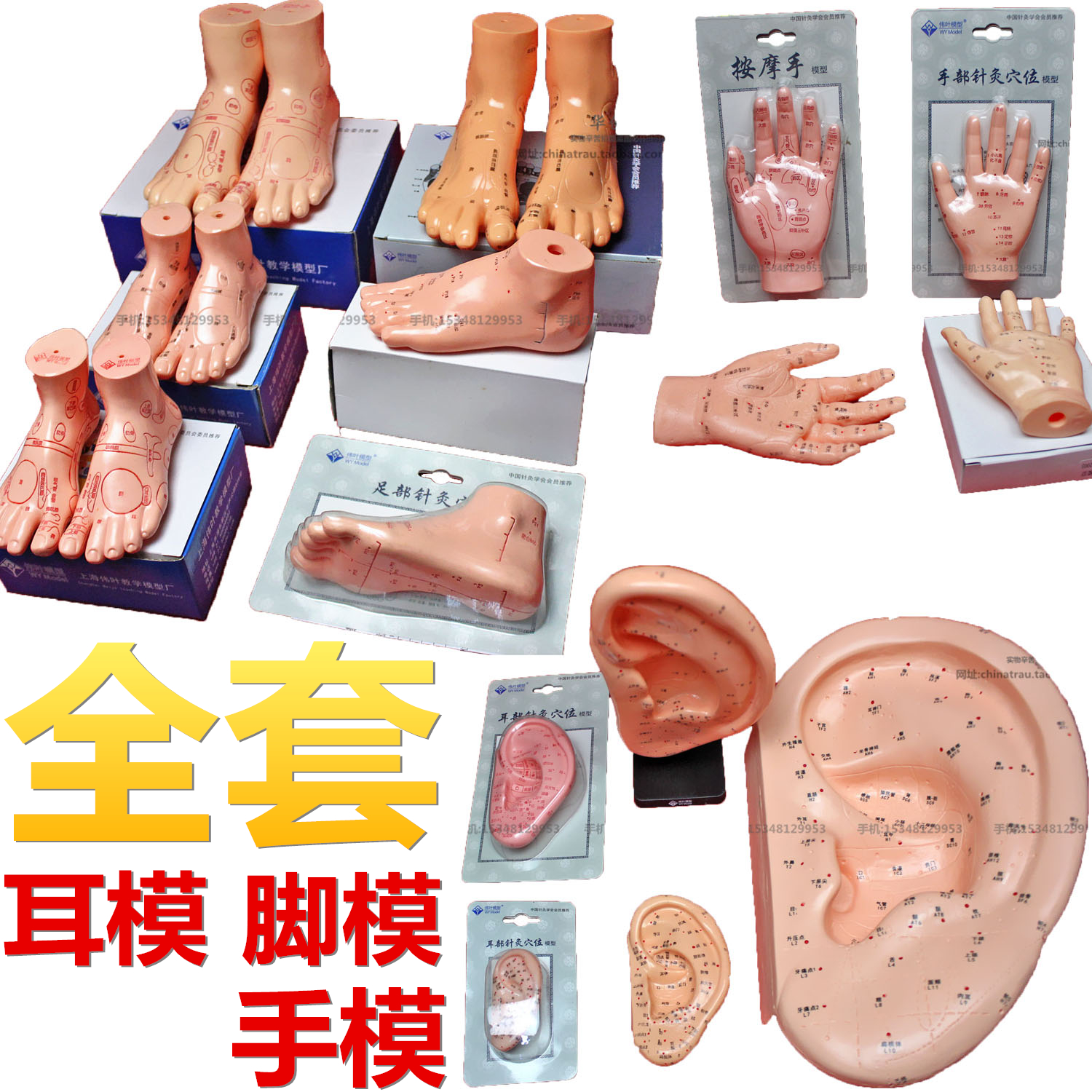 伟叶高清耳模软脚模硬手模儿童手足部按摩成人针灸模型穴位说明书在类目 玩具/童车/益智/积木/模型, 静态模型, 其他模型玩具中 - 来自Buy2taobao.com提供专业的淘宝代购服务