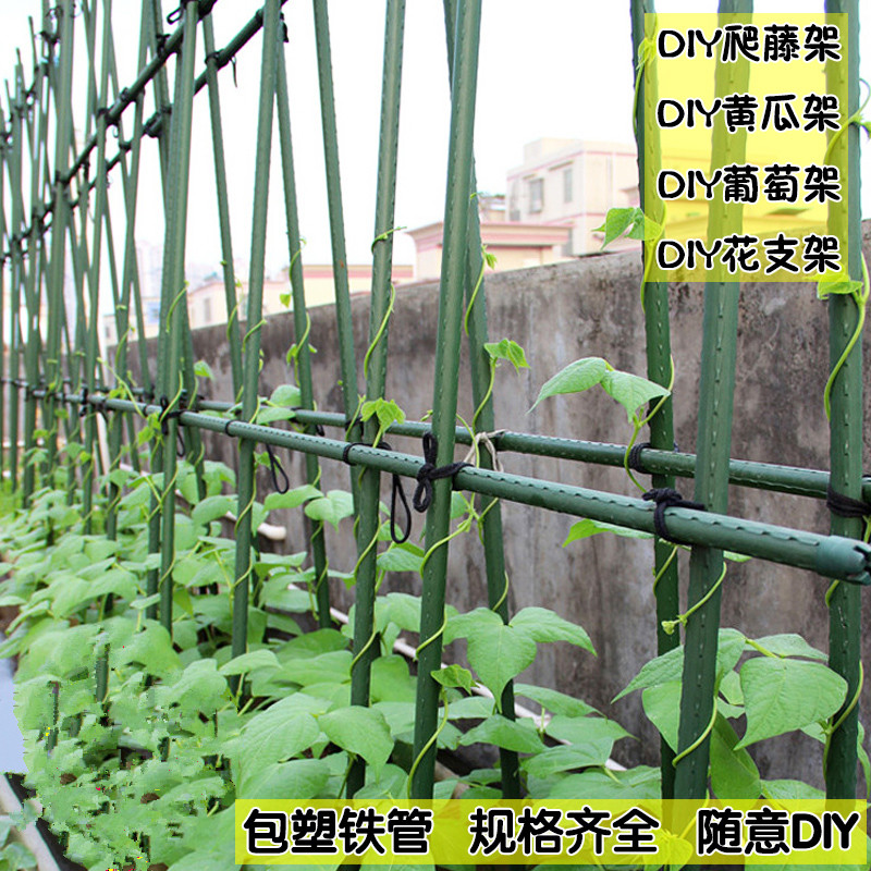 Vegetables gourd Flower stand tomato Climbing Bracket Green basket Vine Climbing Shelf Bamboo fence Plastic bag Melon framein the Flower delivery/Flowers simulation/Plants gardening , Vase/Flower/Flowerpot/Flower (New) , Flower category - from Buy2taobao.com to provide professional Taobao agent buy service