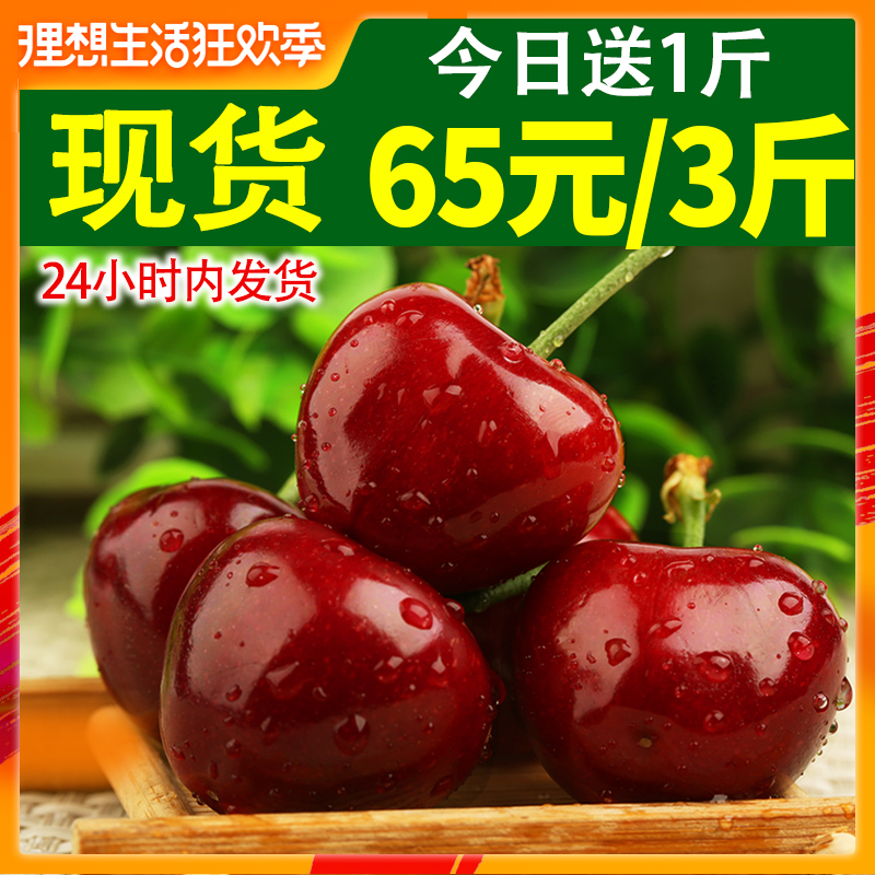 烟台大樱桃3斤现摘现发山东水果新鲜车厘子非现货智利10殷桃5包邮|msdalam kategori daging perikanan/Buah-buahan segar dan sayur-sayuran/dimasak, buah-buahan segar, ceri/ceri - dari Buy2taobao.com untuk memberikan perkhidmatan ejen Taobao profesional membeli