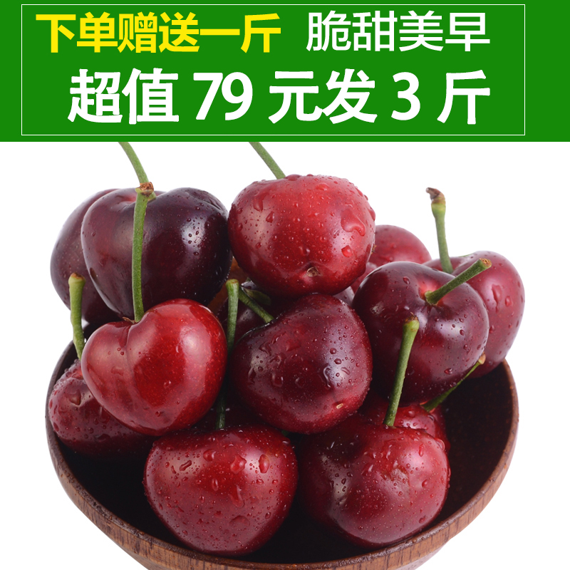 现摘现发 山东烟台大樱桃 新鲜水果美早车厘子送1斤发3斤包邮|ruв категории водной мясо/свежие фрукты и овощи/еда, свежие фрукты, вишня/вишня - от Buy2taobao.com для оказания профессиональной услуги покупки агента Taobao