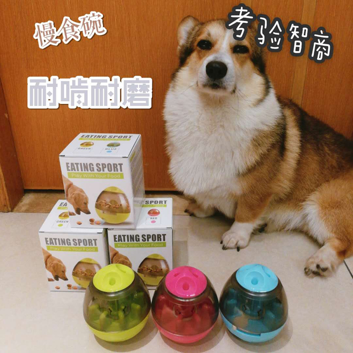 家有柯基狗狗寵物玩具益智趣味不倒翁漏食球漏食器泰迪法鬥慢食碗在類目 寵物/寵物食品及用品, 貓/狗玩具, 漏食球中 - 來自Buy2taobao.com提供專業的淘寶代購服務