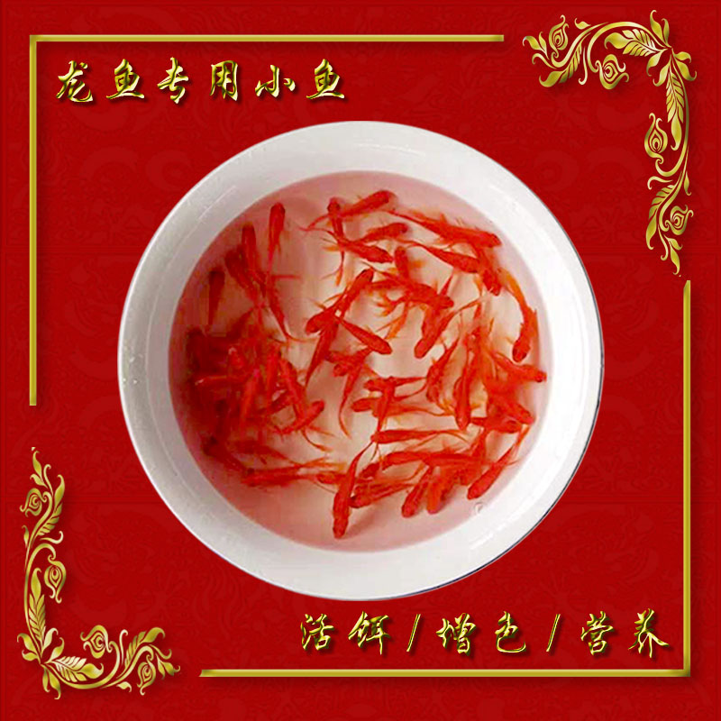 觀賞魚冷水魚紅錦鲫草金3-6cm左右小草金魚錦鯉錦鲫金魚在類目 寵物/寵物食品及用品, 水族世界, 魚中 - 來自Buy2taobao.com提供專業的淘寶代購服務