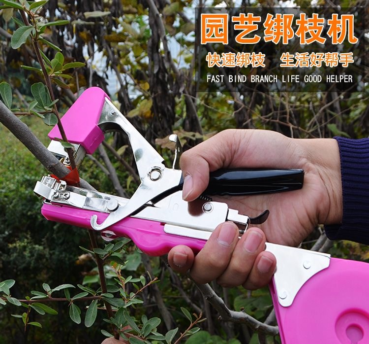 圣女果绑枝条工具绑蔓邦扎绑绳果树蔬果手动果园捆扎打结绑蔓机绑在类目 鲜花速递/花卉仿真/绿植园艺, 园艺用品, 其它园艺用品中 - 来自Buy2taobao.com提供专业的淘宝代购服务
