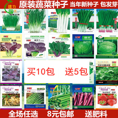 蔬菜种子四季播阳台农家田园易种菜庭院春夏秋套餐盆栽香菜籽包邮