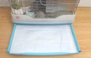 超强吸水垫料尿片 荷兰猪/兔子/龙猫/豚鼠尿垫 除臭宠物尿布|msdalam kategori haiwan peliharaan/makanan haiwan dan bekalan, Cat/Anjing dandanan pembersihan bekalan, lampin/Niaodian/pad - dari Buy2taobao.com untuk memberikan perkhidmatan ejen Taobao profesional membeli