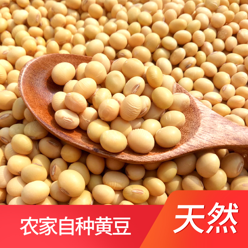 汉中农家自种黄豆非转基因大豆 笨黄豆生豆芽打豆浆新货2500g包邮在类目 粮油米面/南北干货/调味品, 米/面粉/杂粮, 豆类, 黄豆中 - 来自Buy2taobao.com提供专业的淘宝代购服务