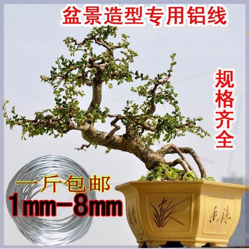 花支架手工園藝盆栽樹苗定型固定盆景用造型鋁絲紮絲花園綠植用品在類目 鮮花速遞/花卉仿真/綠植園藝, 園藝用品, 其它園藝用品中 - 來自Buy2taobao.com提供專業的淘寶代購服務