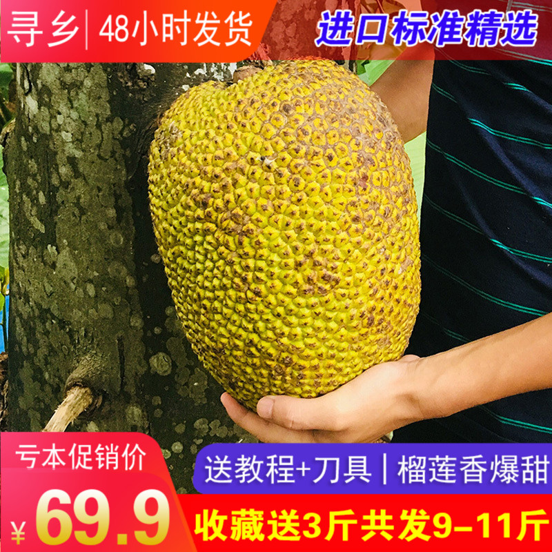 拍下69.9元10斤越南紅肉菠蘿蜜新鮮水果進口紅心波羅包郵海南泰國在類目 水產肉類/新鮮蔬果/熟食, 新鮮水果, 其它中 - 來自Buy2taobao.com提供專業的淘寶代購服務