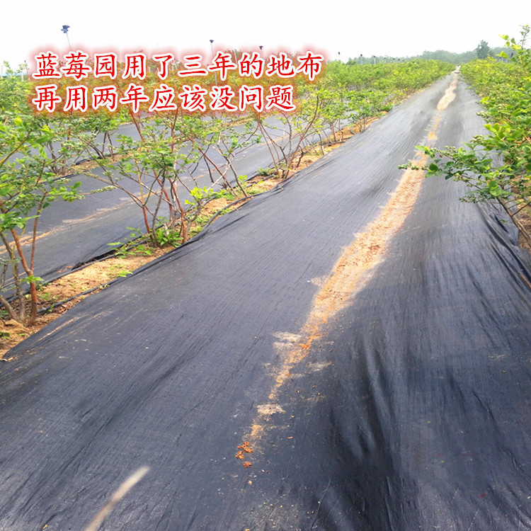 生态防草布果园地布园艺无纺布降解布除草盖草地膜农用果树除草布在类目 鲜花速递/花卉仿真/绿植园艺, 园艺用品, 其它园艺用品中 - 来自Buy2taobao.com提供专业的淘宝代购服务