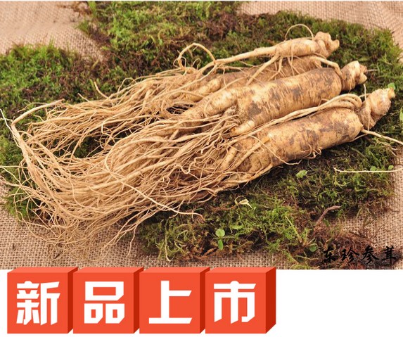 【包邮】东北人参鲜人参野山参煲汤泡酒6年根保鲜参白参煲汤参在类目 传统滋补营养品, 参类滋补品, 人参/园参中 - 来自Buy2taobao.com提供专业的淘宝代购服务
