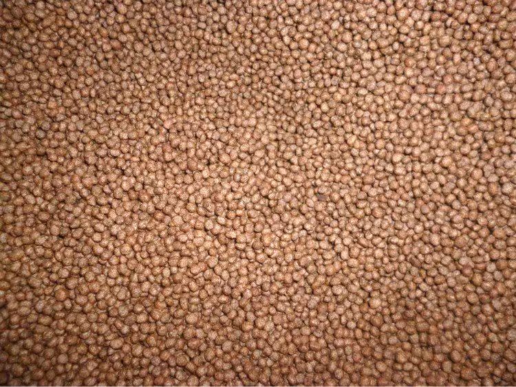 Turtle Food Dried fish Cat food Dried fish Tortoise feed freshwater Dried fish Dried shrimp Red-eared Food snacksin the Pet/Pet food and supplies , Aqua World , Turtle Watch/Turtle feed category - from Buy2taobao.com to provide professional Taobao agent buy service