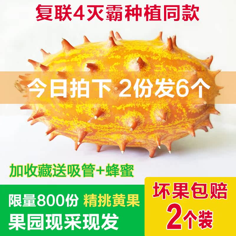 火参果2个火生果火星果新鲜刺角瓜海参果复联4灭霸种植同款水果8|ruв категории водной мясо/свежие фрукты и овощи/еда, свежие фрукты, другие - от Buy2taobao.com для оказания профессиональной услуги покупки агента Taobao