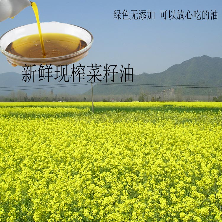 土哥農貨新鮮菜籽先打現發菜籽油拍下後看直播現場選油打包發貨在類目 糧油米麪/南北乾貨/調味品, 南北乾貨/肉類乾貨, 乾貨/土特產, 其它中 - 來自Buy2taobao.com提供專業的淘寶代購服務