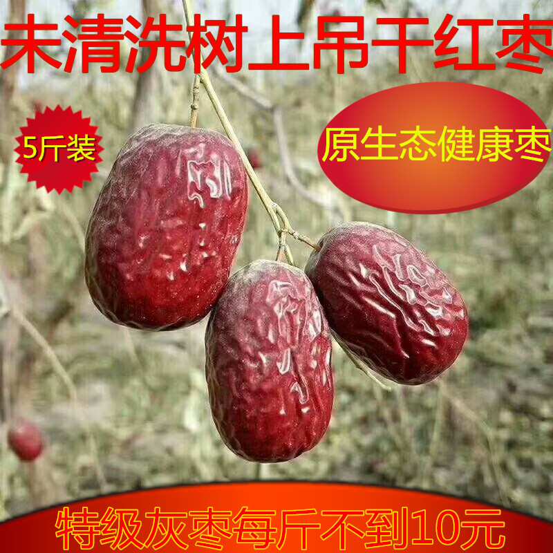 The new date Xinjiang Jujube Premium jujube 2500g Pure natural washing Ruoqiang Jujube Jujube 5in the Aquatic meat/Fresh fruits and vegetables/Cooked , Fresh fruit , Orange category - from Buy2taobao.com to provide professional Taobao agent buy service