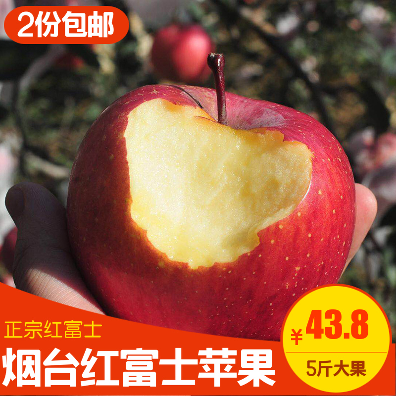 山东烟台栖霞红富士苹果5斤包邮当季新鲜采摘萍果平果在类目 水产肉类/新鲜蔬果/熟食, 新鲜水果, 苹果中 - 来自Buy2taobao.com提供专业的淘宝代购服务