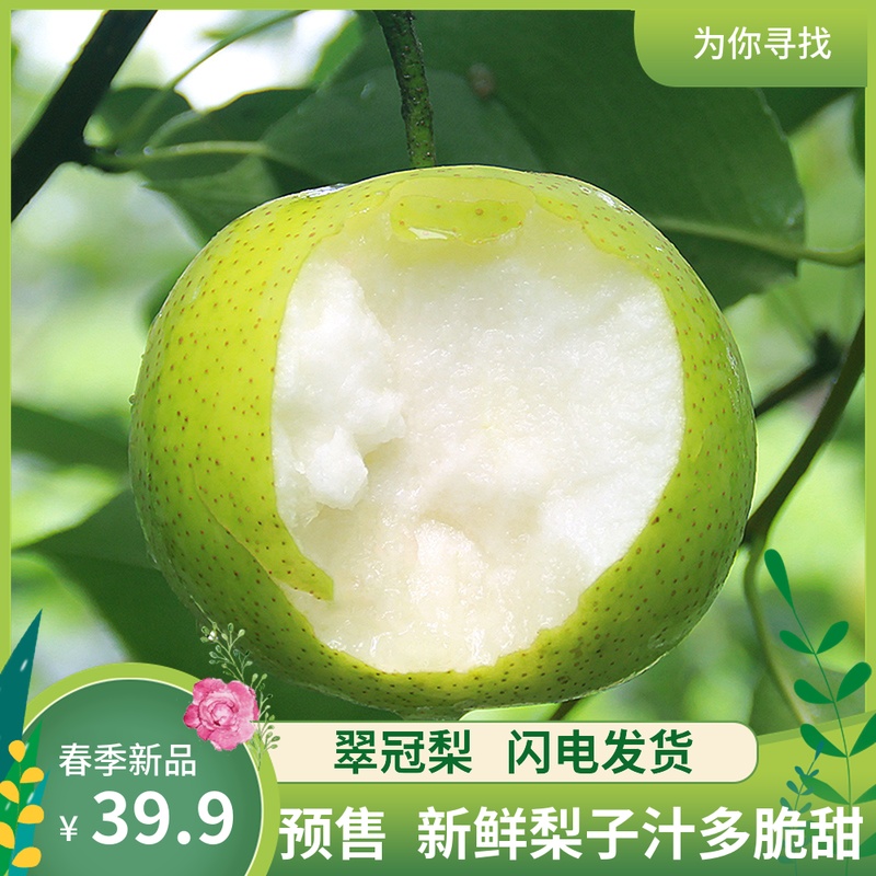 梨子水果新鲜 当季带箱10斤批发青梨翠梨砀山梨翠冠梨包邮|msdalam kategori daging perikanan/Buah-buahan segar dan sayur-sayuran/dimasak, Fruit Products, buah-buahan dalam tin - dari Buy2taobao.com untuk memberikan perkhidmatan ejen Taobao profesional membeli