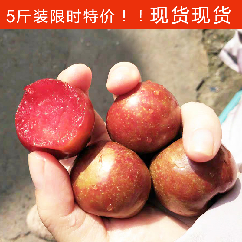 5斤装新鲜现货现发红心李钱排三华李孕妇水果李子包邮非空心李子在类目 水产肉类/新鲜蔬果/熟食, 新鲜水果, 李子中 - 来自Buy2taobao.com提供专业的淘宝代购服务