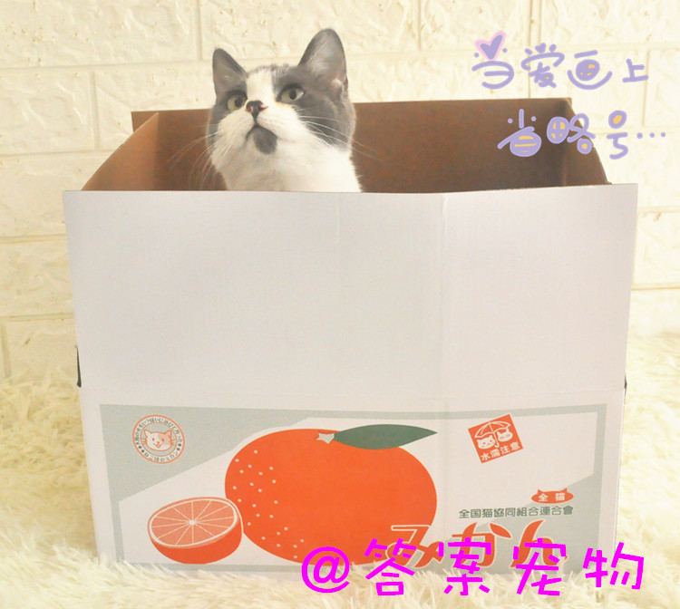 Exit Japan Carton Carton paper House Scratching Catlike board Cat litter Full color patternin the Pet/Pet food and supplies , Cat/Dog Toys , Cat Tree category - from Buy2taobao.com to provide professional Taobao agent buy service