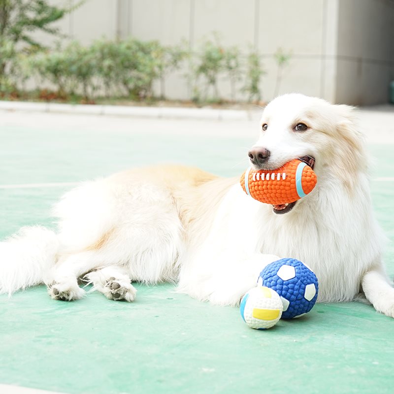 狗狗玩具球发声幼犬泰迪边牧金毛大型犬磨牙耐咬小狗训练宠物用品在类目 宠物/宠物食品及用品, 猫/狗玩具, 橡胶球/球形玩具中 - 来自Buy2taobao.com提供专业的淘宝代购服务